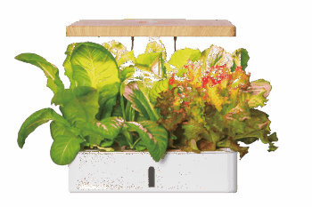 ROBIN Smart Garden 12
