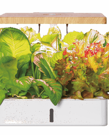 ROBIN Smart Garden 12