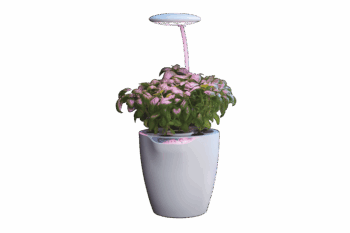 DUO Smart Garden 6