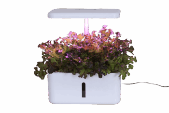 ALICE Smart Garden 8