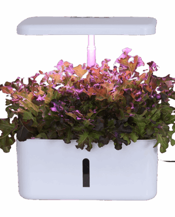 ALICE Smart Garden 8