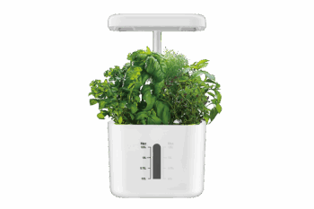 GIAN - Smart Garden 4