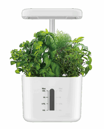 GIAN - Smart Garden 4