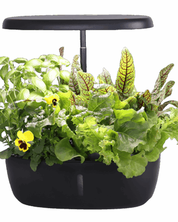 GIORGIA Smart Garden 12