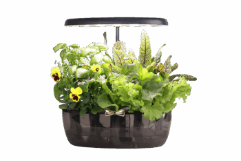 PETER Smart Garden 12