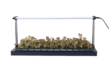 MIRA Microgreen Booster 72