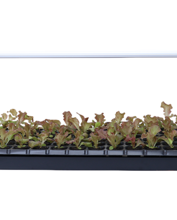 MIRA Microgreen Booster 72