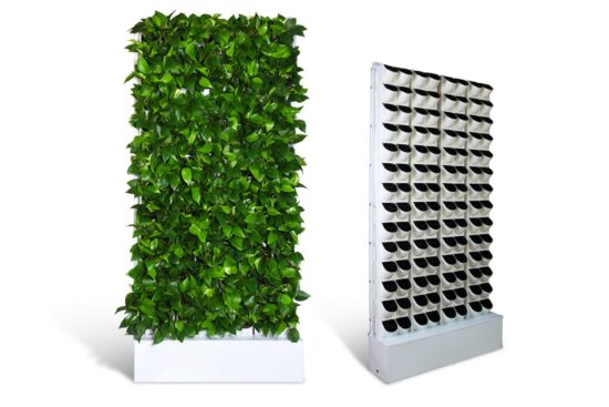 AMELIA Pflanzenwand 112