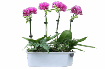 FLURIN Hydro Topf 4