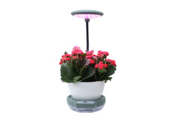 MAJA Hydro pot 1