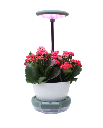 MAJA Hydro Topf 1