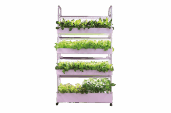 VALERIA Vertical Farm 64