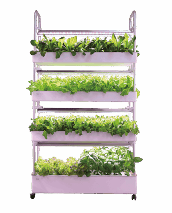 VALERIA Vertikale Farm 64