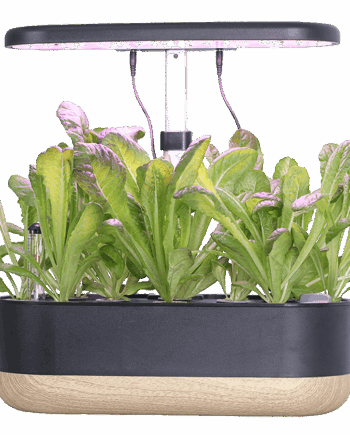 LEON Smart Garden 10