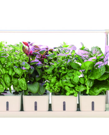 LOUIS Hydro Farm 20
