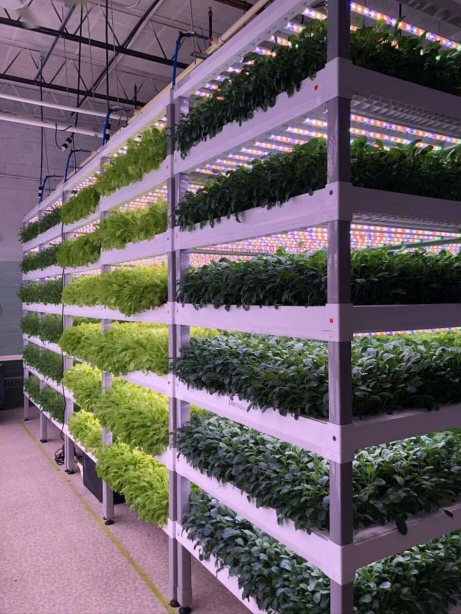 Vegetative cultivation system - Vertical farm