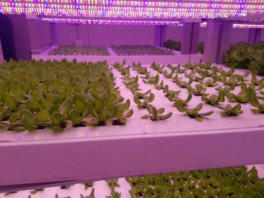 Vegetative cultivation system - Vertical farm