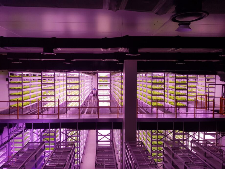 Vegetative cultivation system - Vertical farm