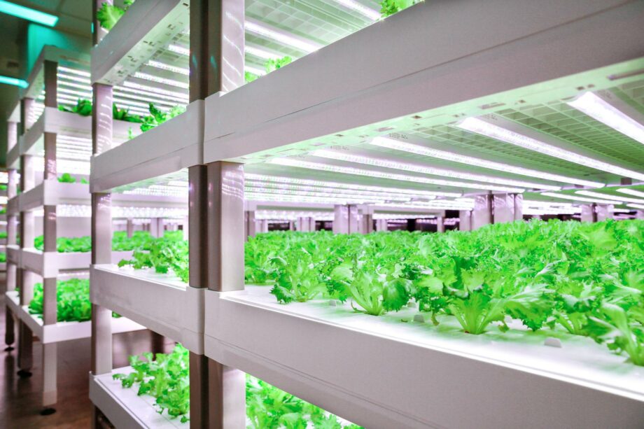 Vegetative cultivation system - Vertical farm