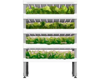VertiMax 4XL Vertikale Farm
