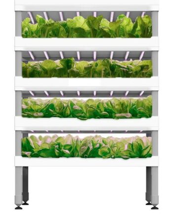 VertiMax 4XL Vertikale Farm