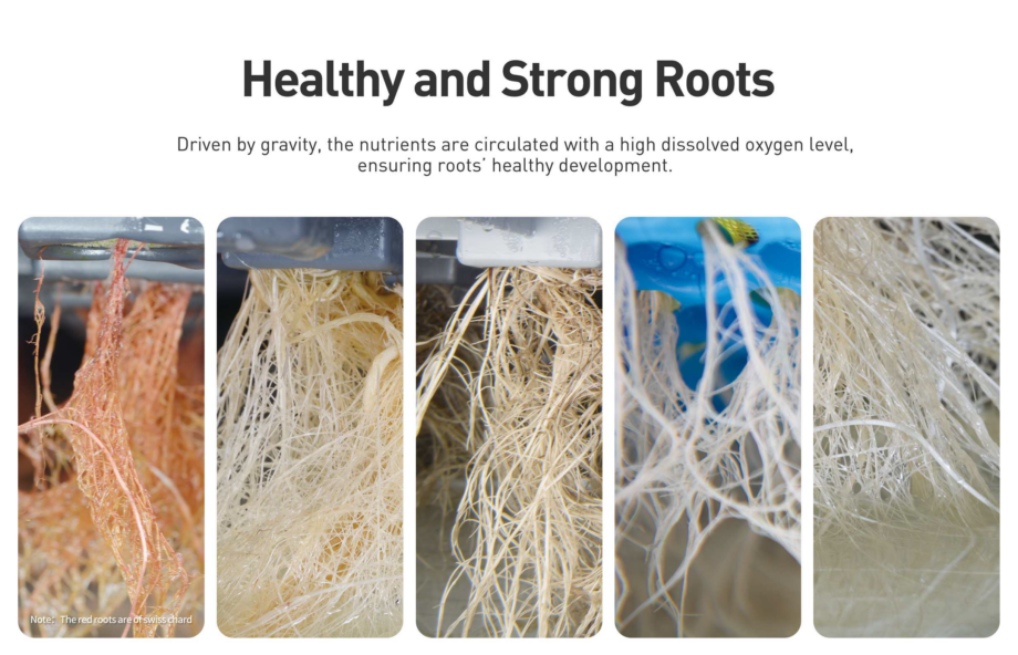 Vegetative cultivation system - Vertical farm