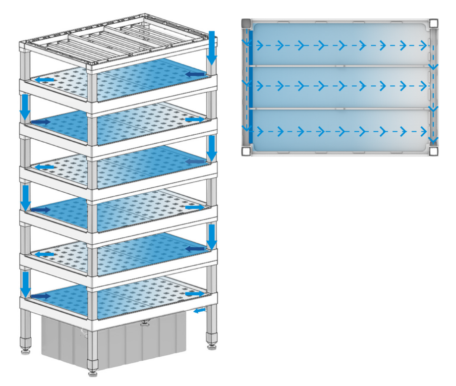 Module de multiplication pour les plants et les microgreens