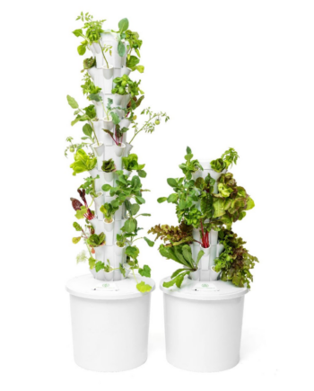 Garten Turm 50