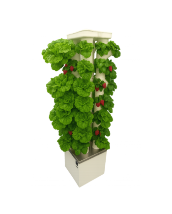 Turm Farm 28 - GEBRAUCHT