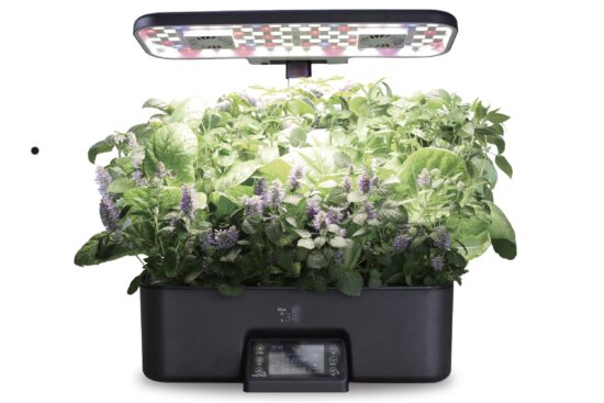 ATLAS Smart Garden 17