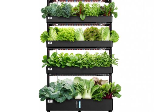 RAPHAEL Vertikale Farm 120 Pflanzen